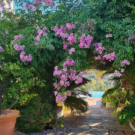 Cortijo La Haza Bed & Breakfast Iznajar Bagian luar foto