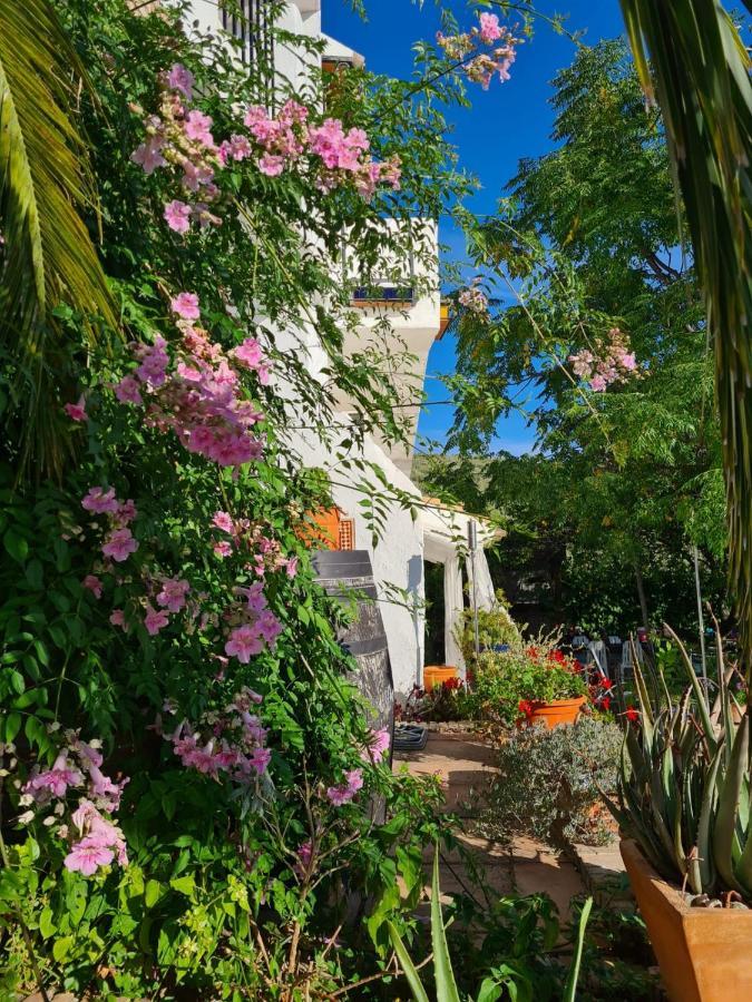 Cortijo La Haza Bed & Breakfast Iznajar Bagian luar foto