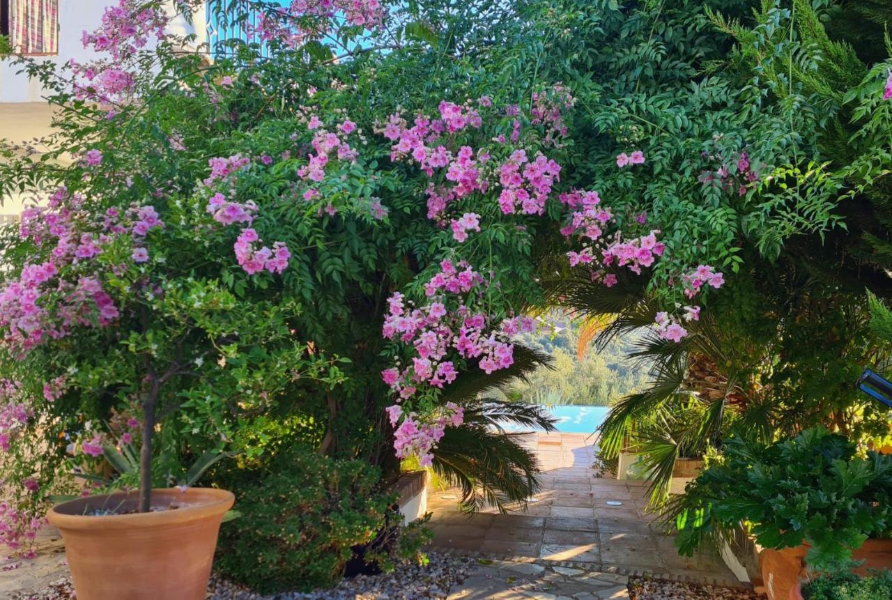Cortijo La Haza Bed & Breakfast Iznajar Bagian luar foto