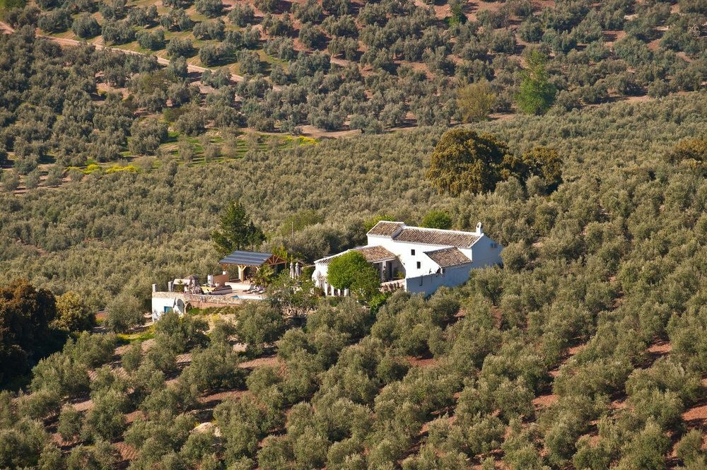 Cortijo La Haza Bed & Breakfast Iznajar Bagian luar foto